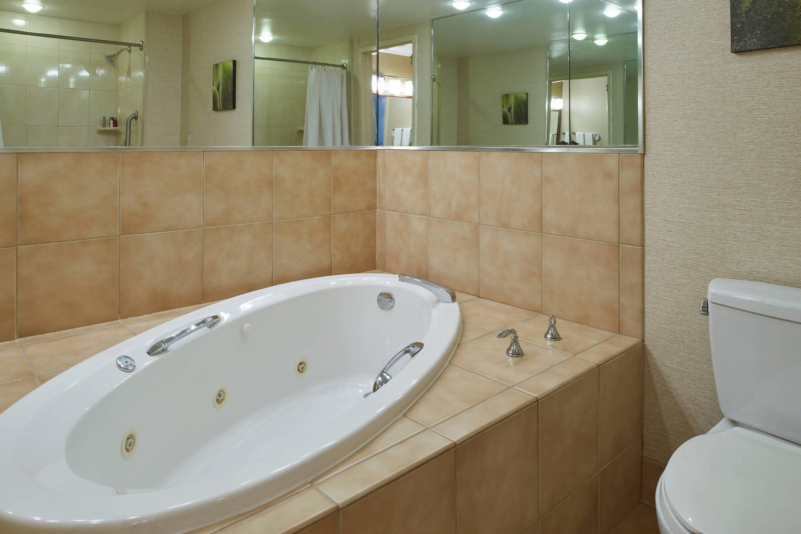 Marriott Chicago Midway - thumb 12