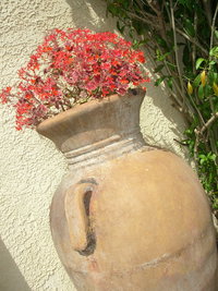 Daly City Ca Accommodation Indiana