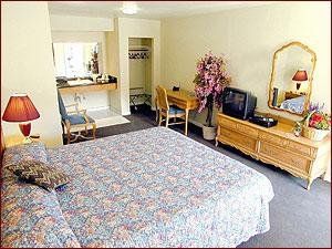 Alpine Inn & Suites - thumb 6