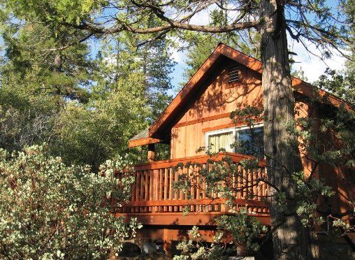 Evergreen Lodge - thumb 3