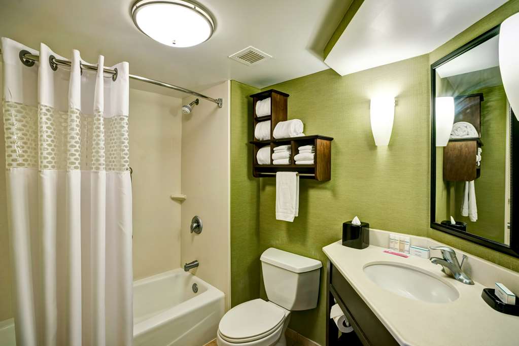 Hampton Inn Knoxville Arpt - thumb 6