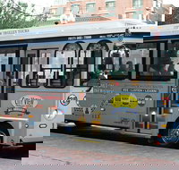Boston Hop-On Hop-Off Trolley Tour with Harbor Cruise Option - Accommodation Indiana