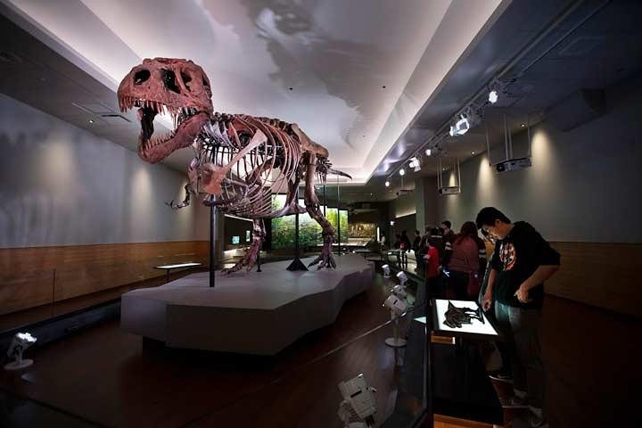 Chicago CityPASS - thumb 2