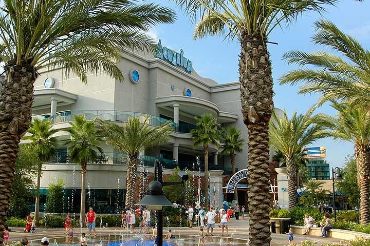 Houston CityPASS - thumb 4