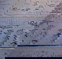 Hollywood Celebrity Homes Tour - Accommodation Indiana