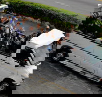 Hollywood Sightseeing and Celebrity Homes Tour by Open-Top Bus - Accommodation Indiana