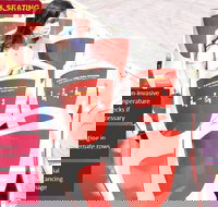 Big Bus Chicago Hop-On Hop-Off Tour - Accommodation Indiana