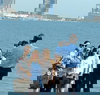 Chicago City Minibus Tour with Optional Architecture River Cruise - Accommodation Indiana