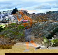 Griffith Observatory Hike Hollywood Hills Walk in Griffith Park - Accommodation Indiana