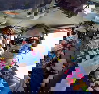 Maui Circle Island -Private- Air Tour Maui's Magical  Hidden Beauty Revealed - Accommodation Indiana