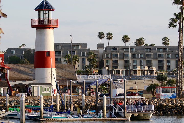Shared Two-Hour Whale Watching Tours from Oceanside CA