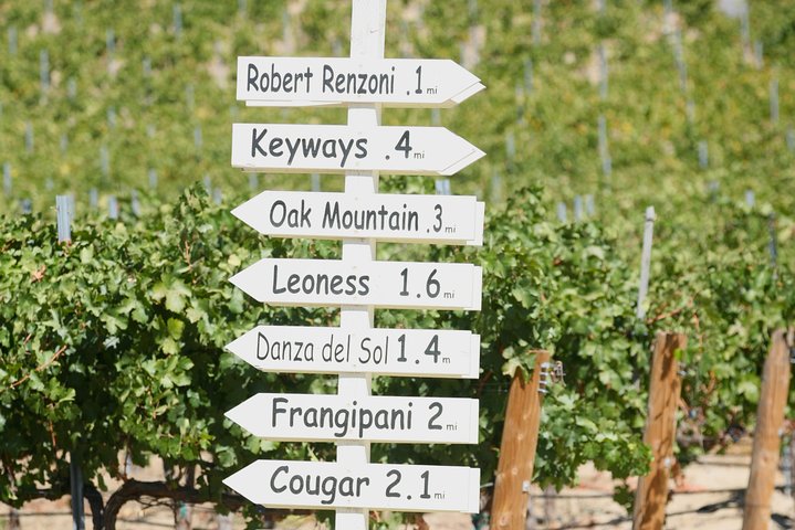 Temecula Private Wine Tour From Carlsbad - thumb 1