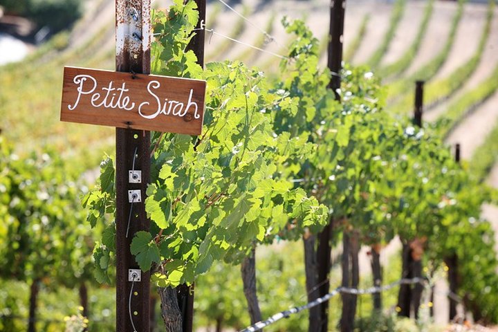 Temecula Private Wine Tour From Carlsbad - thumb 3