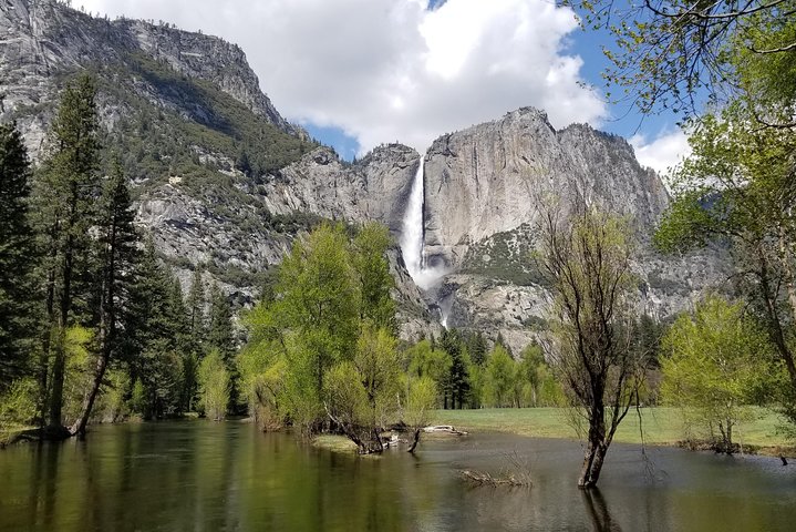 Yosemite Day Tour - thumb 0