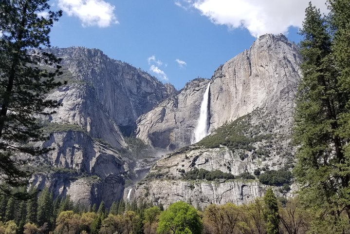 Yosemite Day Tour - thumb 1