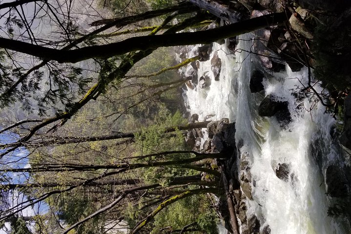 Yosemite Day Tour - thumb 3
