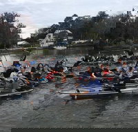 Clear Kayak Tour of Crystal River - Accommodation Indiana