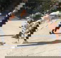 Explore Boulder with a Unique Scavenger Hunt by Operation City Quest - Accommodation Indiana