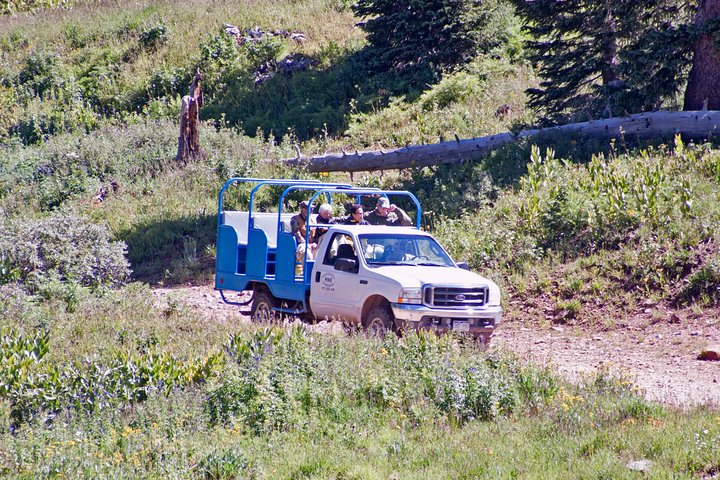 La Plata Mountains - Half Day Tour - thumb 3