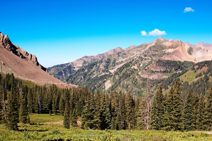 La Plata Mountains - Half Day Tour - thumb 5
