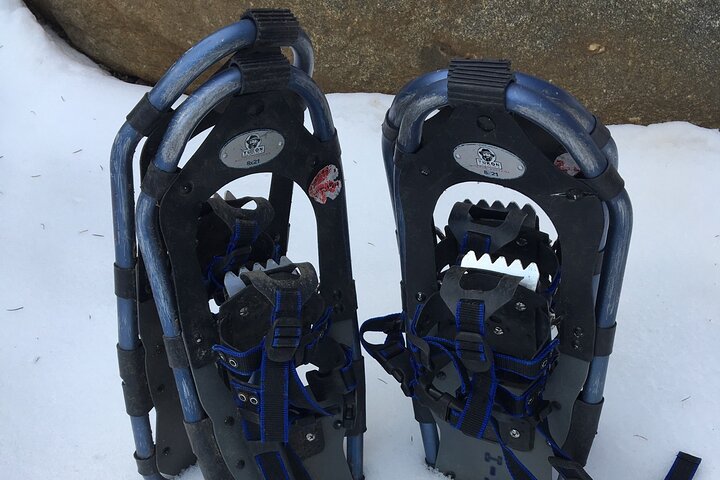 Guided Snow Shoeing - thumb 3