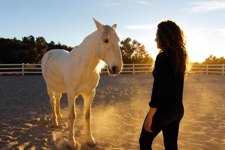 One Of A Kind Horse Discovery Experiences - EquusLibere - thumb 3