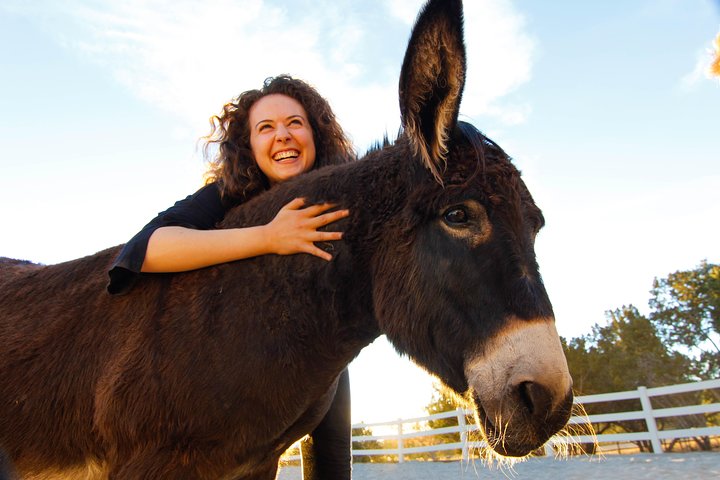 One Of A Kind Horse Discovery Experiences - EquusLibere - thumb 5