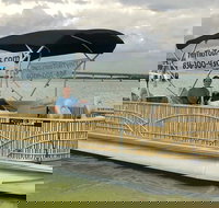 Dolphin Tiki Cruise around Fort Myers Beach - Accommodation Indiana