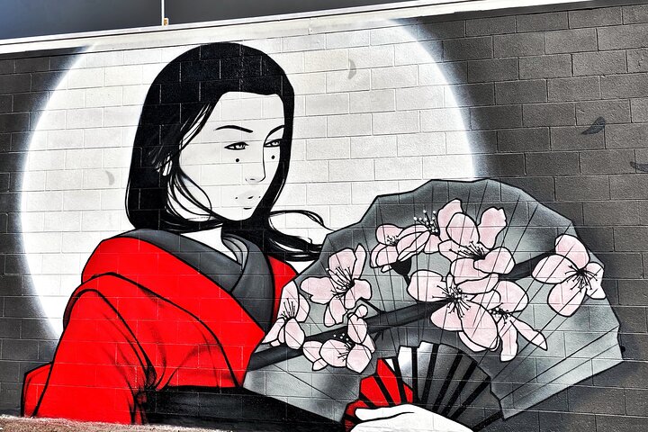 Wall To Wall Boulder EBike Mural Ride (2 Hour) - thumb 3