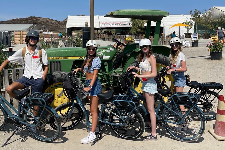 3-Hour Pedego Bike Rental