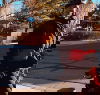 Ride Boulder's Best Guided E-Bike Tour - Accommodation Indiana