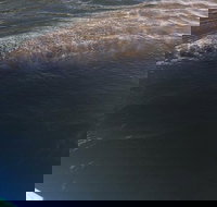 Lovers Key Guided Eco Tour-Mangrove Estuary - Accommodation Indiana