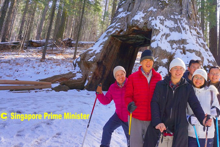 Best 1-Day Yosemite National Park Private Tour From San Francisco - thumb 2