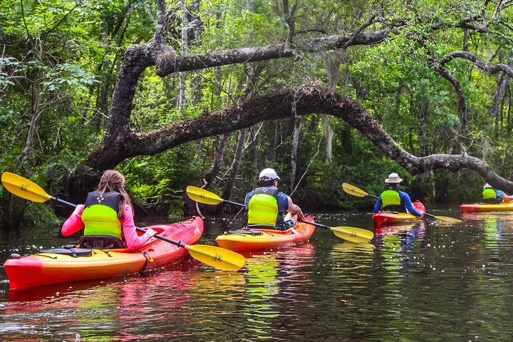Amelia Island Guided Kayak Tour of Lofton Creek