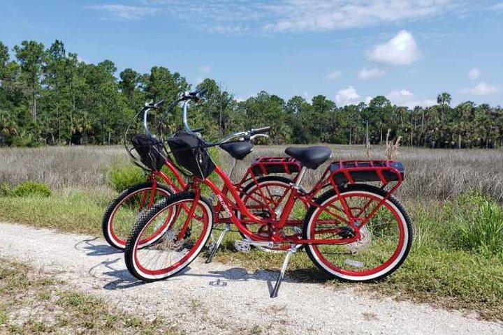 Florida Backroads E-Bike Tour