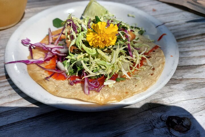 Corks  Forks Strolling Tour Jacksonville Riverside