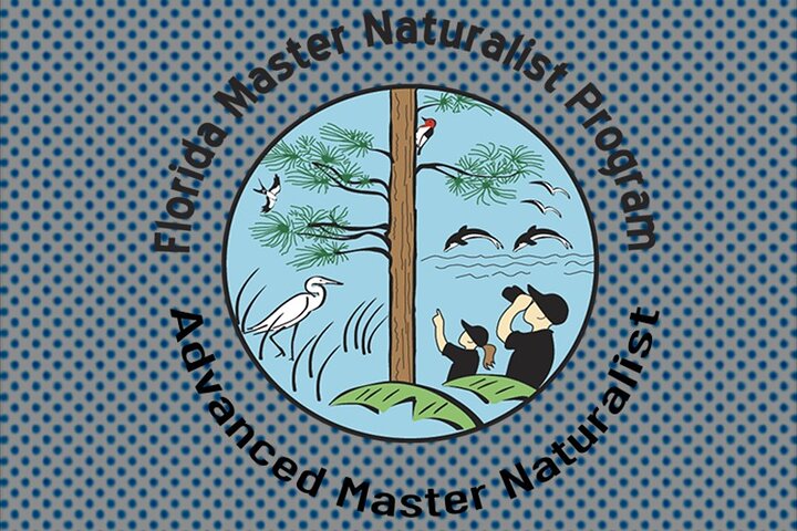 Guided Kayak Eco Tour Real Florida Adventure