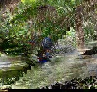 Clear Kayak Tours on Chassahowitzka River - Accommodation Indiana