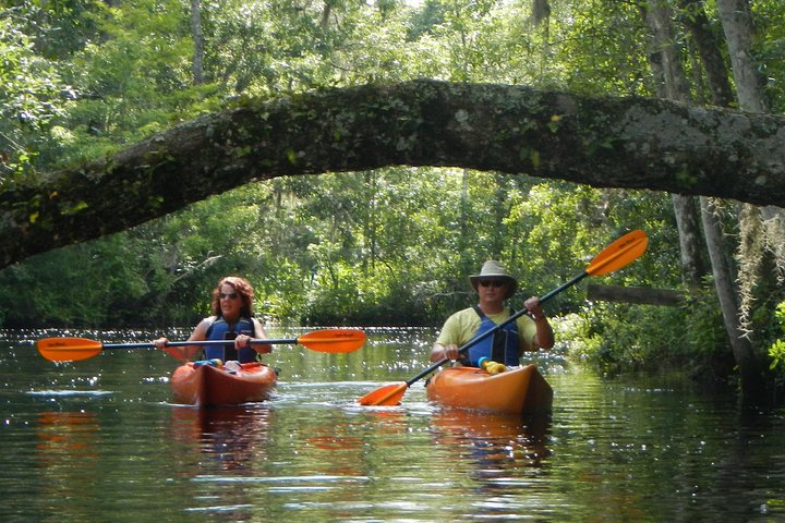 Lofton Creek Kayaking Trip with Professional Guide
