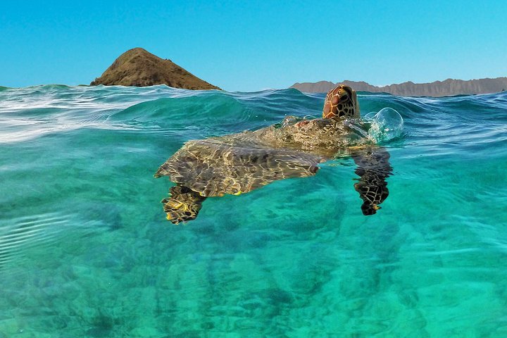 Kailua 2-Hour Guided Kayaking Excursion, Oahu - thumb 1