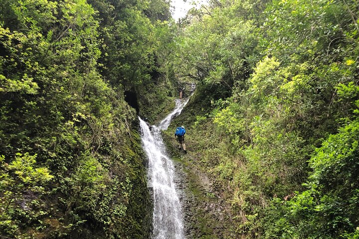 Waterfall Hike , Sightseeing & East Side Beach Day - thumb 1