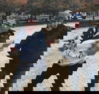 Adventurous Scavenger Hunt in Ann Arbor by Zombie Scavengers - Accommodation Indiana