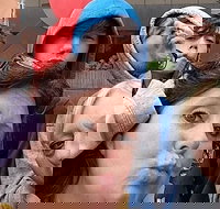 Adventurous Scavenger Hunt in Detroit by Zombie Scavengers - Accommodation Indiana