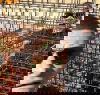 Scavenger Hunt Adventure in Kalamazoo by Zombie Scavengers - Accommodation Indiana