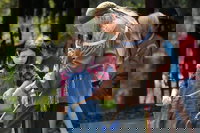 Gum Springs Road La Accommodation Indiana