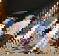 Unique Horse Farm Tours with Insider Access to Private Farms - Accommodation Indiana