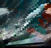 SEA LIFE Michigan Aquarium Admission Ticket - Accommodation Indiana