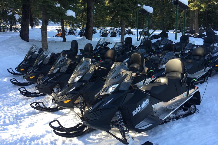 Snowmobiling Packages in the Sierra's from Reno Nevada