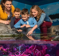 SEA LIFE New Jersey at American Dream - Accommodation Indiana