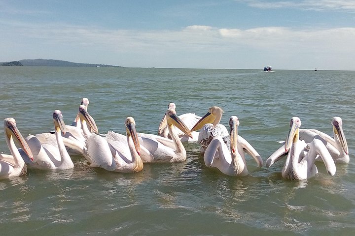 Full Bahir Dar Tour Lake Tana Monasteries and Blue Nile Fall